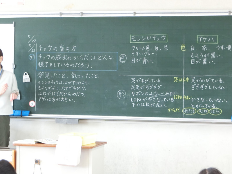 CIMG8969